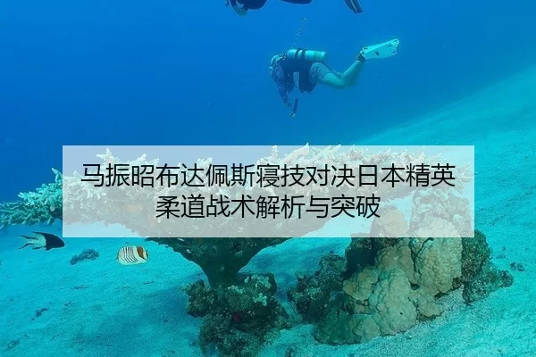 马振昭布达佩斯寝技对决日本精英 柔道战术解析与突破